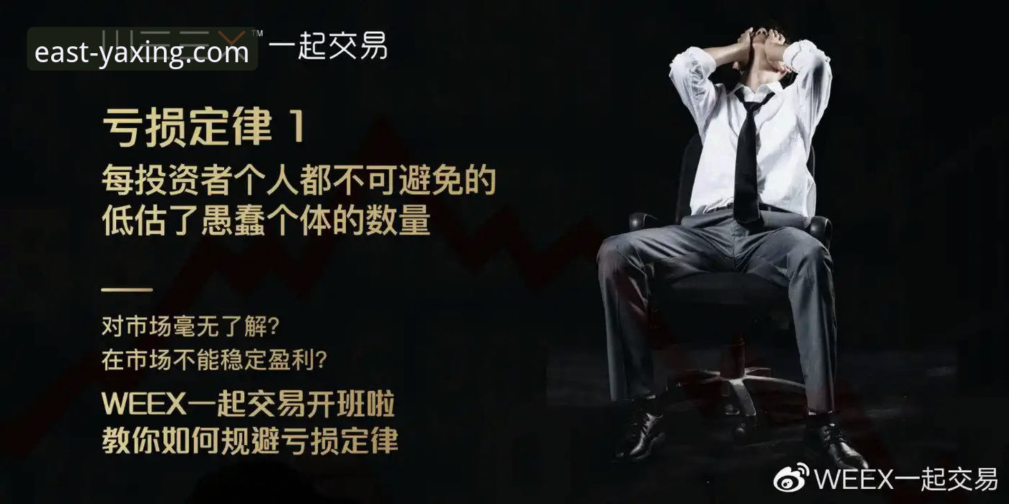 亚星体育平台官网入口对比详解